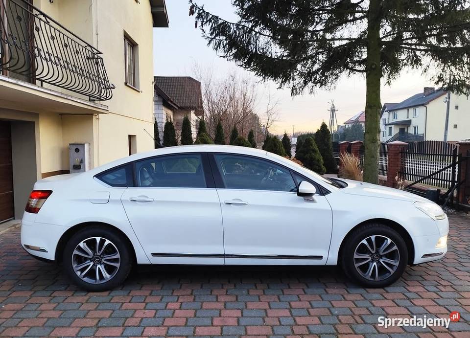 C5 CITROEN Sedan Biała perła Bluehdi manual bez Tłuszcz