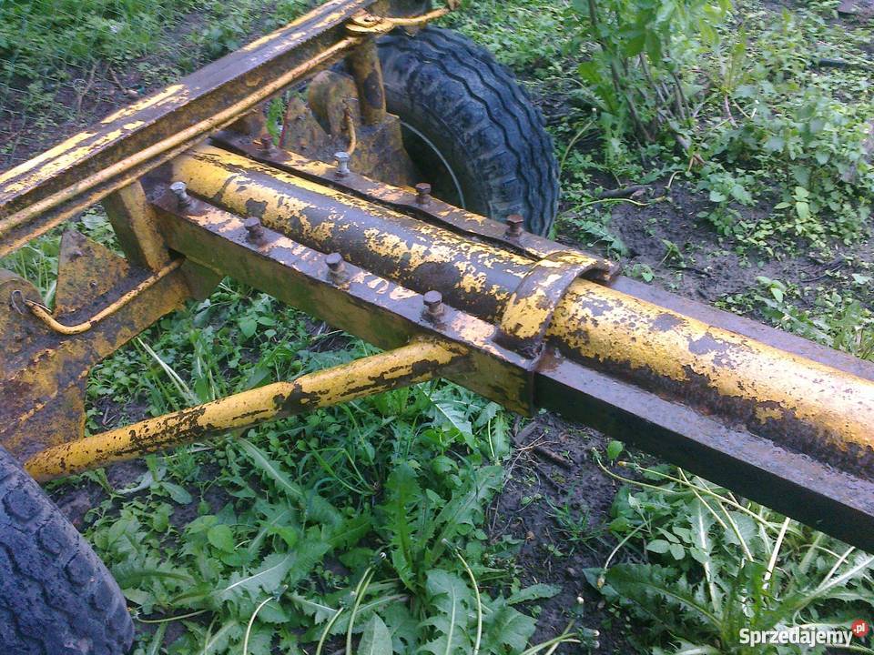 przyczepa lesna warmińsko-mazurskie Wilczęta sprzedam