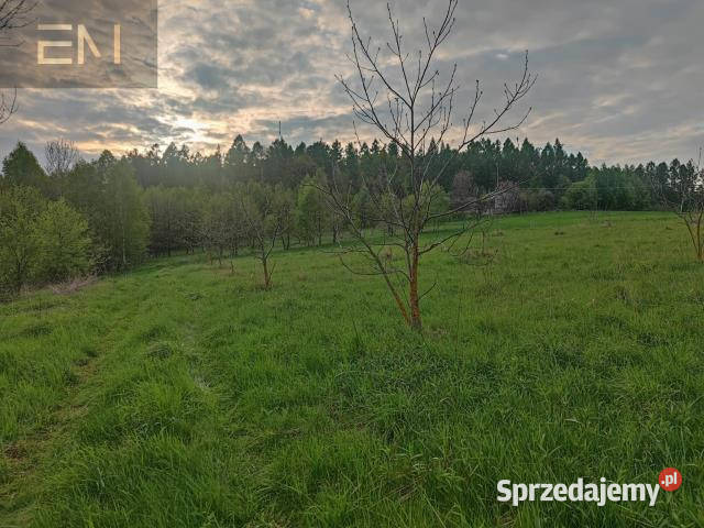 Działka Hadle Kańczuckie 33000m2