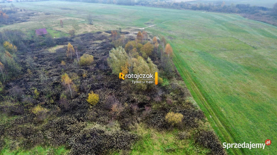 Działka 3356m2 Drewnica Zielona Sprzedaż