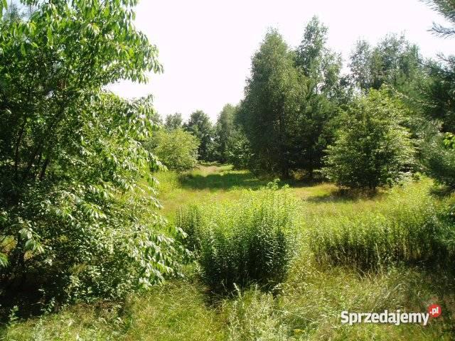 Łódź Okólna działki 800 do 3000 m2 os Dolina Łód Łódź sprzedam