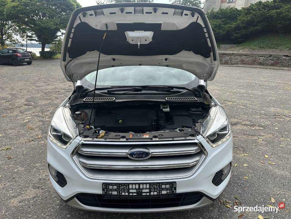 20 TDCi 180 koni Zarejestrowana Manual Navi Mogilno