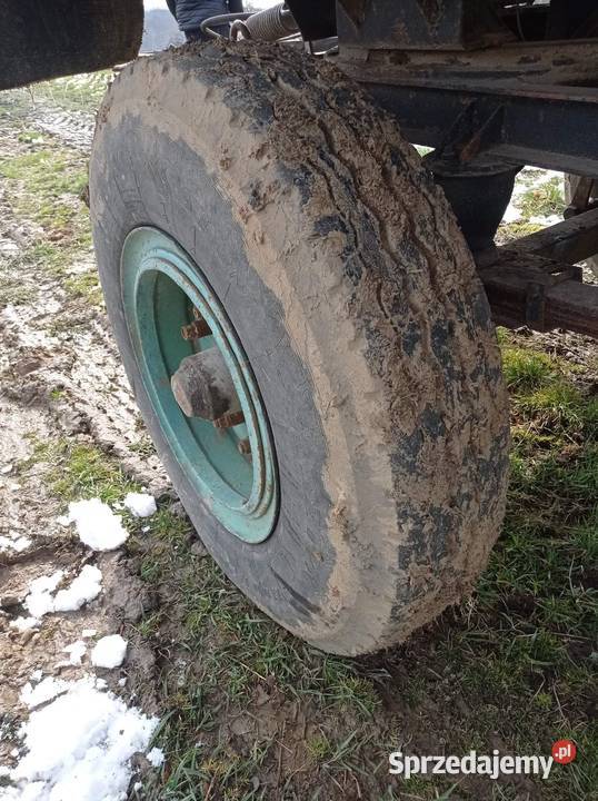 Koła do przyczepy hlhw autosan d50 d55 itd Gnojnica