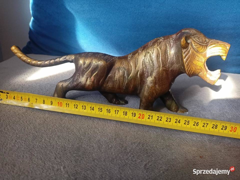 mosiezny tygrys Łódź