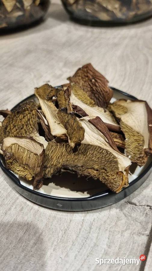 Podgrzybki suszone Zbiór 2025r 25 100g Gliwice sprzedam