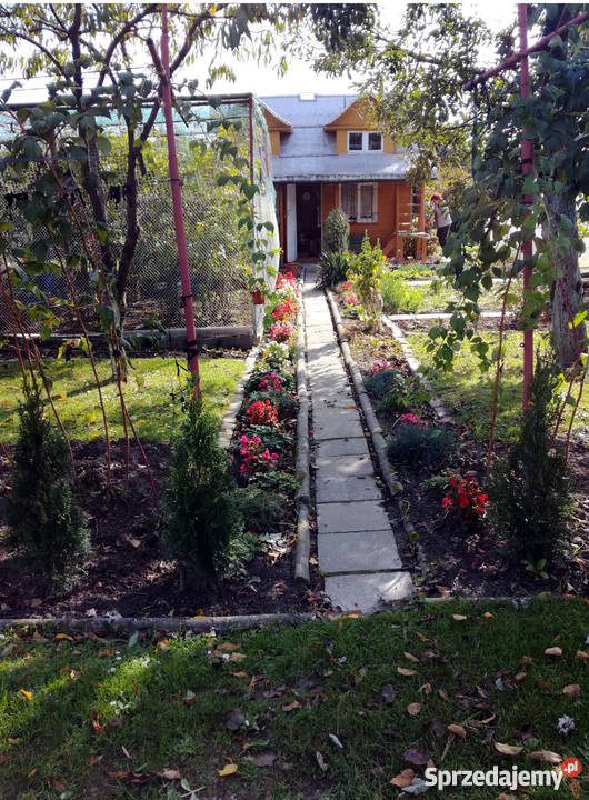 Działka ROD rekreacyjna Racibórz