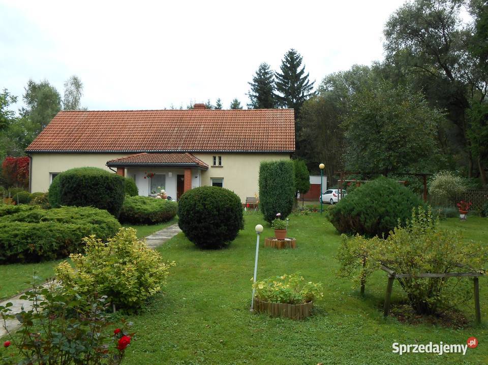 Kamienna Góra dom z ogrodem garażdziałka
