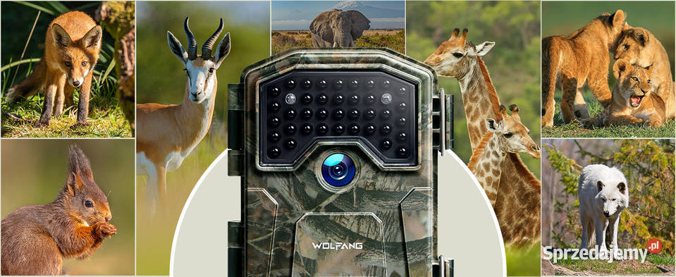 Kamera leśna WOLFANG 48MP 2160p noktowizja IR Rzeszów