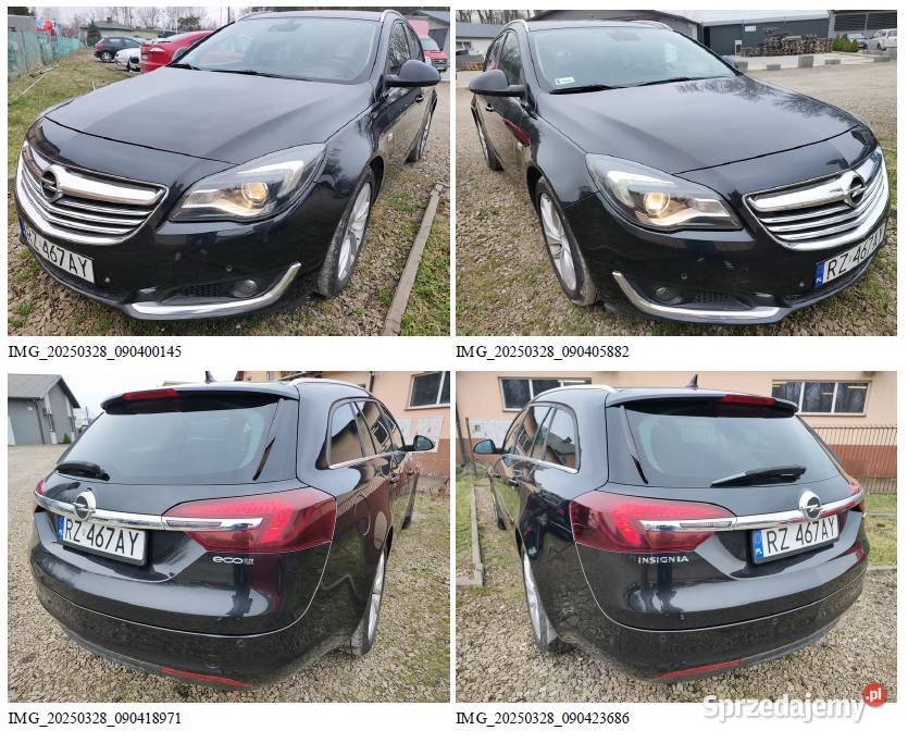 Zarządca sprzeda Opel Insignia 2015 konkurs 1956cm3 Insignia podkarpackie Jasło
