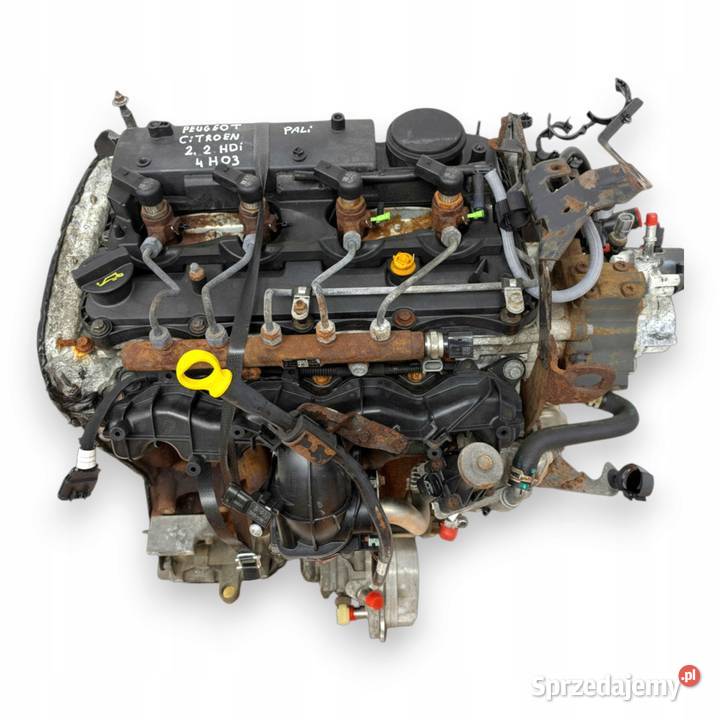 SILNIK 4HH 4H03 Citroen Jumper Peugeot Boxer 22 sprzedam