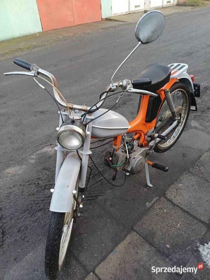 Komar zarejestrowany lubuskie Kożuchów