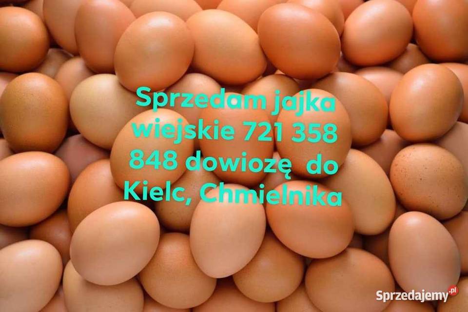 Z wolnego wybiegu Szczecno