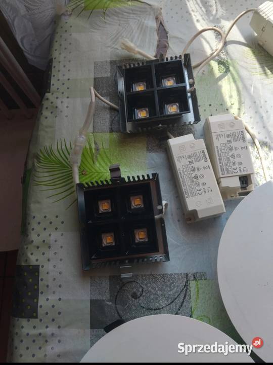 Oprawy oświetleniowe downlight z zasilacza Przysucha