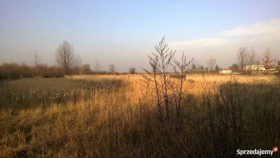 Dom i zabudowania gospodarcze sprzedam garaż Ożarowice
