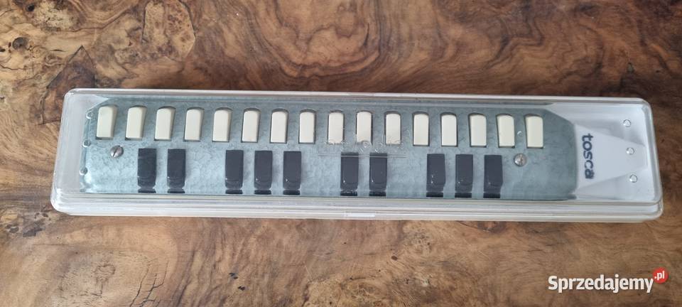 Harmonijka ustna klawiszowa Zielona Góra