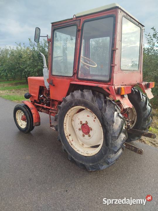 Władymirec t25 Kunów