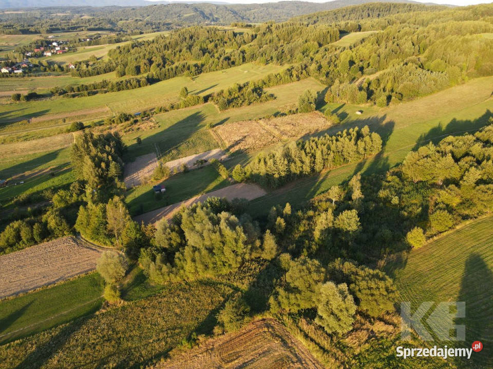 Działka Czaszyn 11684m2 Sprzedaż podkarpackie