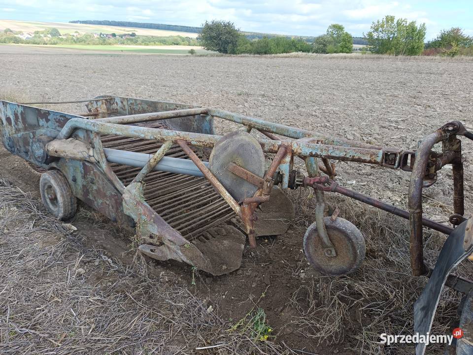 Kopaczka lewatorowa do ziemniak cebula Wodzisław