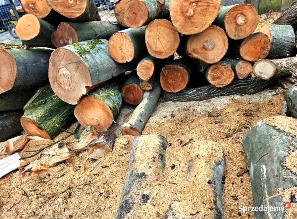Sezonowane drewno kominkowe i opałowe z Dębno