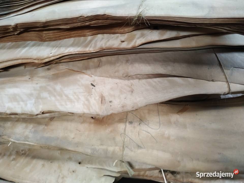 Fornir okleina naturalna olcha