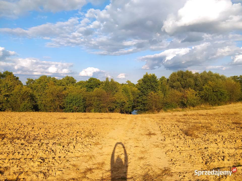 Działka jeziorem w powiecie rypińskim z linią Trąbin-Rumunki