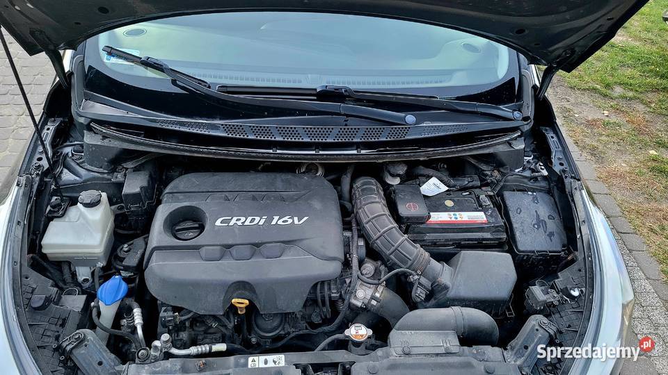 Kia ProCeed 16 crdi 2013 Radom