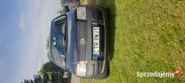 Fiat Panda 11 Grębocin
