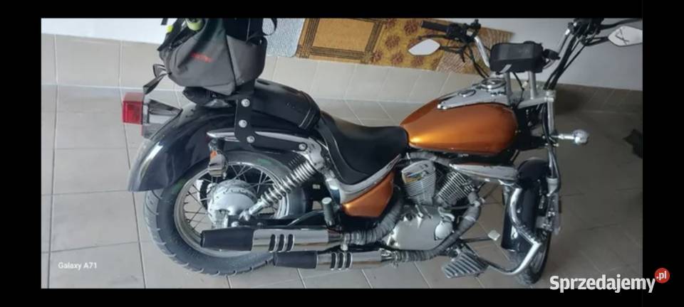 Suzuki intruder Leszno