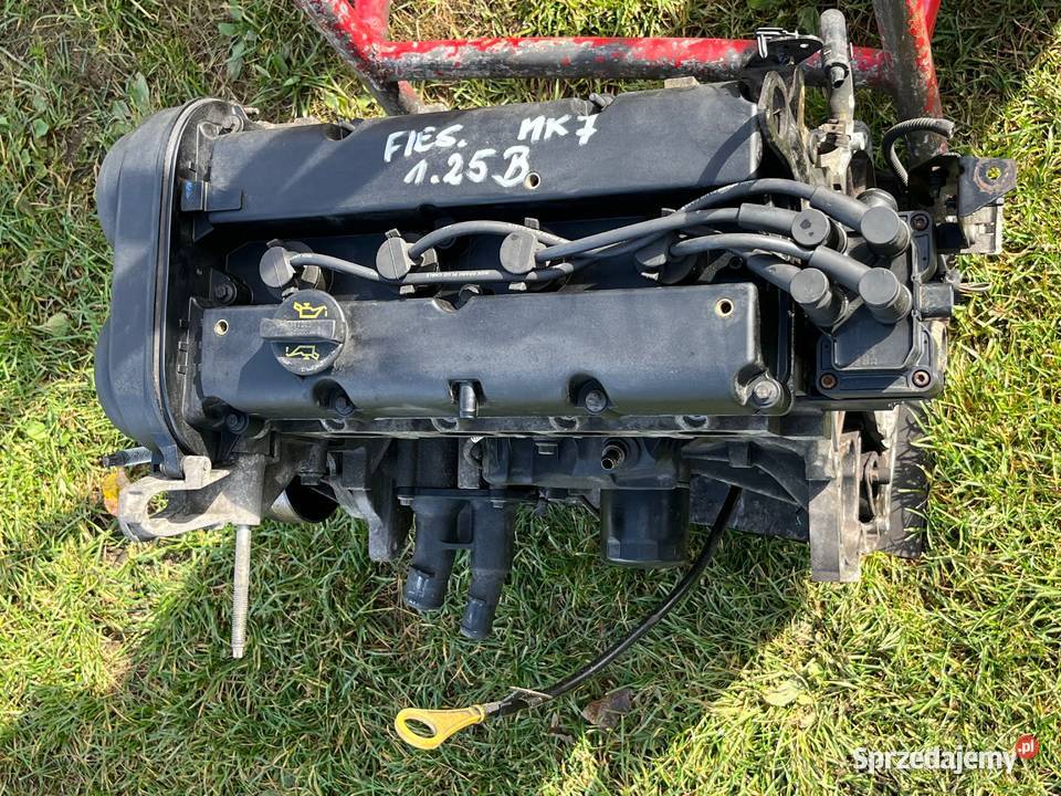 Ford Fiesta Mk7 125 16V Silnik Rok produkcji 2010 Złoczew