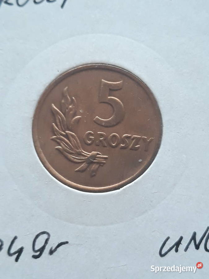 5 Groszy 1949 r Brąz Śliczne wielkopolskie Konin