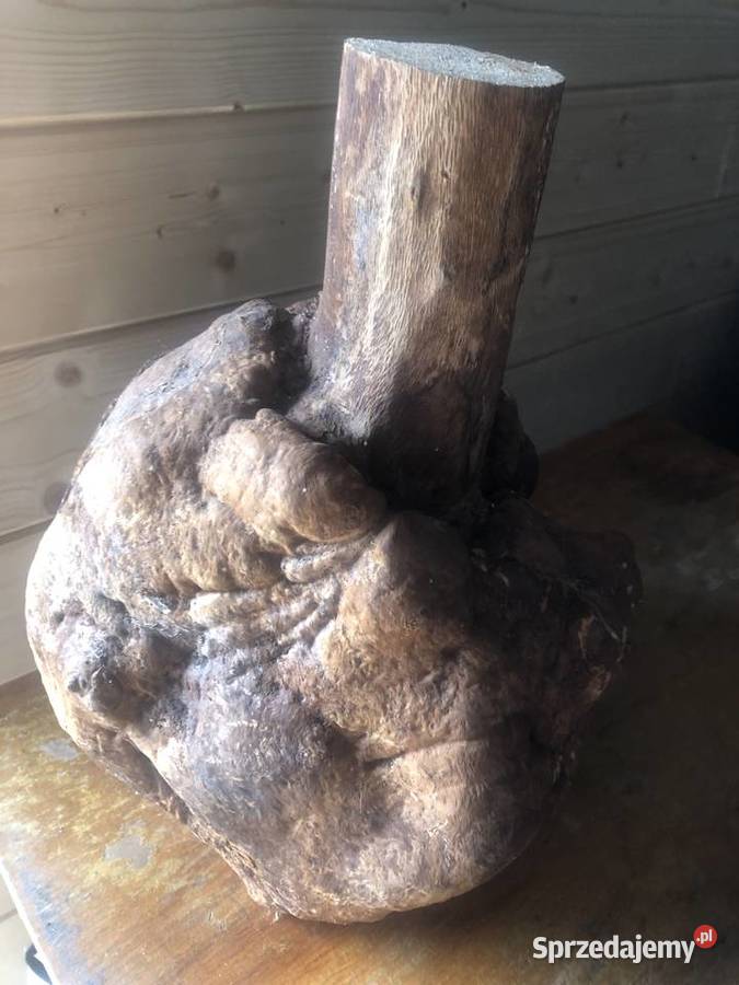 Sztuka użytkowa drewno Pozostałe Ciepielów