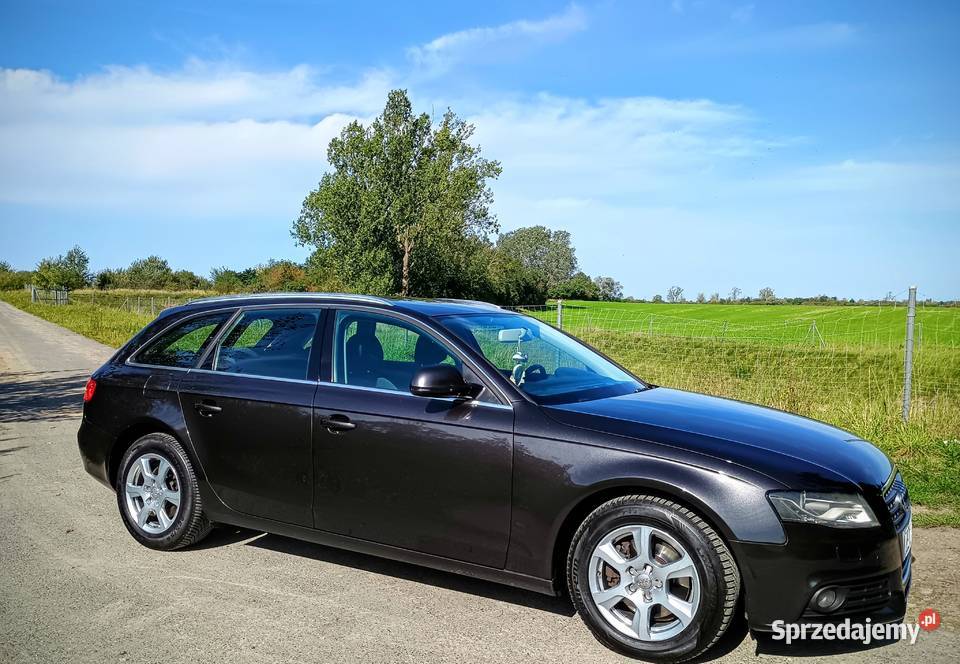 Audi A4B8 LED Bixenon Klima Navi TDI Rok produkcji 2009 Stargard