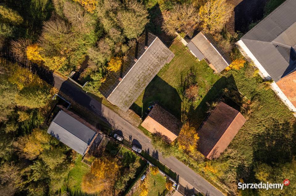 Dom z klimatem dawnego młyna rzeką Widawą do remontu Dalborowice