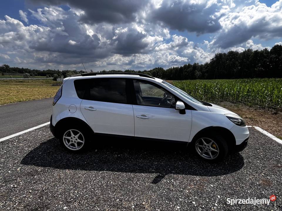Renault Scenic 12 tce xmod Scenic Krzyżowice
