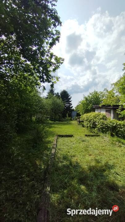 Działka ROD Łódź Dąbrowa sprzedam
