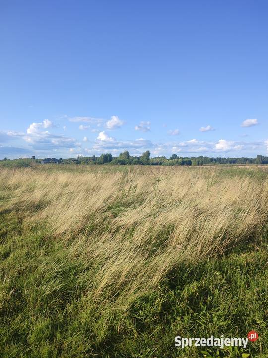 Łąka rolna podlaskie Gredele
