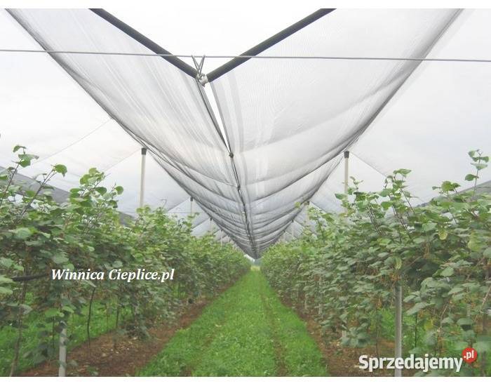 Siatka 105x250mb pko ptakom na winorośl jagody dolnośląskie Lwówek Śląski