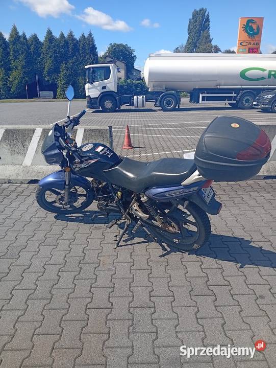Barton kupiony w Polsce Zamarski