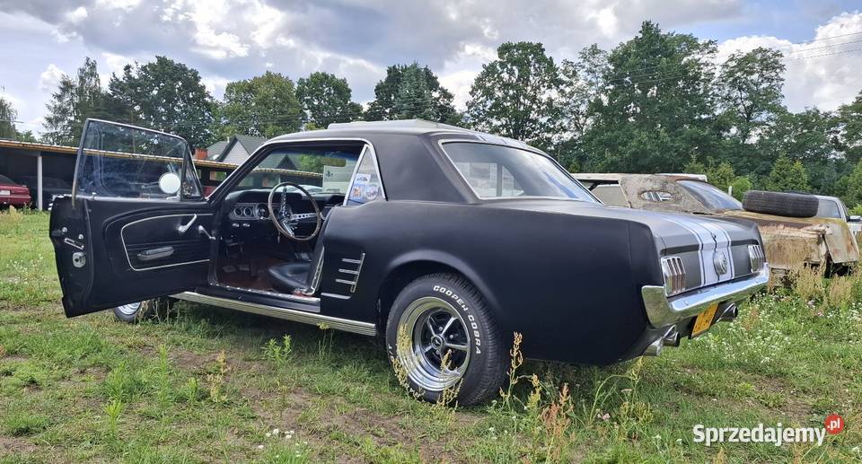 Mustang GT 289 z 1966 roku pełna renowacja 2/3 sprzedam
