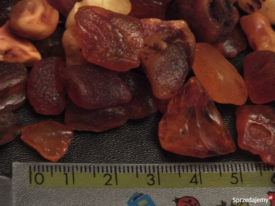 Bursztyn bałtycki pomorskie Kąty Rybackie