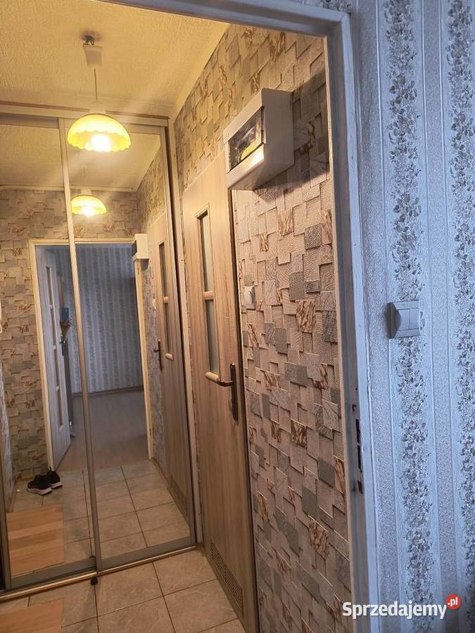 Sprzedam mieszkanie jednopokojowe w Mysłowicach piwnica Mysłowice sprzedam