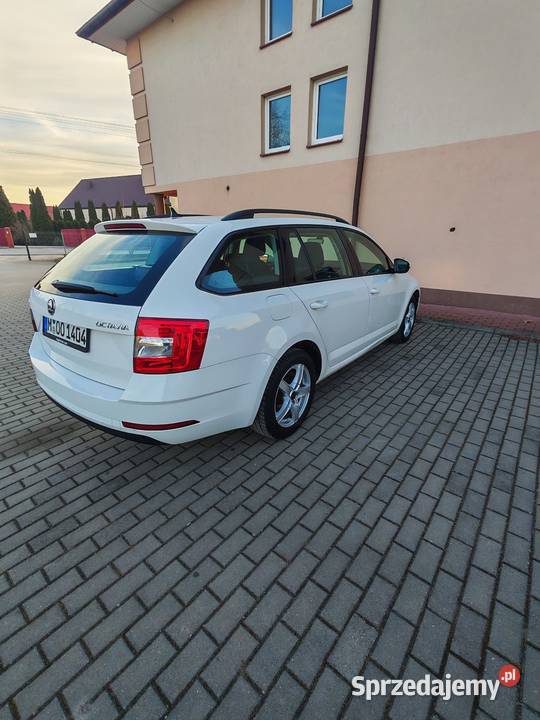 koda Octavia 16 TDI 115 2019 r Rok produkcji 2019 łódzkie Opoczno sprzedam