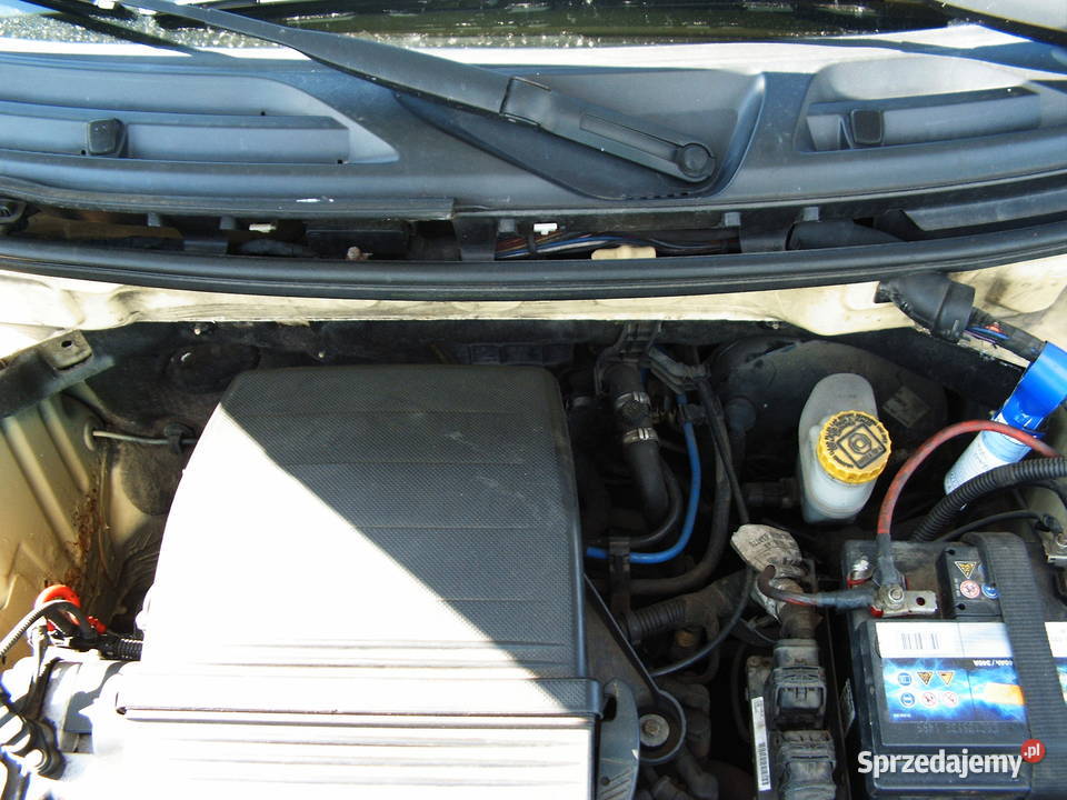 Fiat Panda 11 2003 r Salon Polska serwisowany w ASO Września