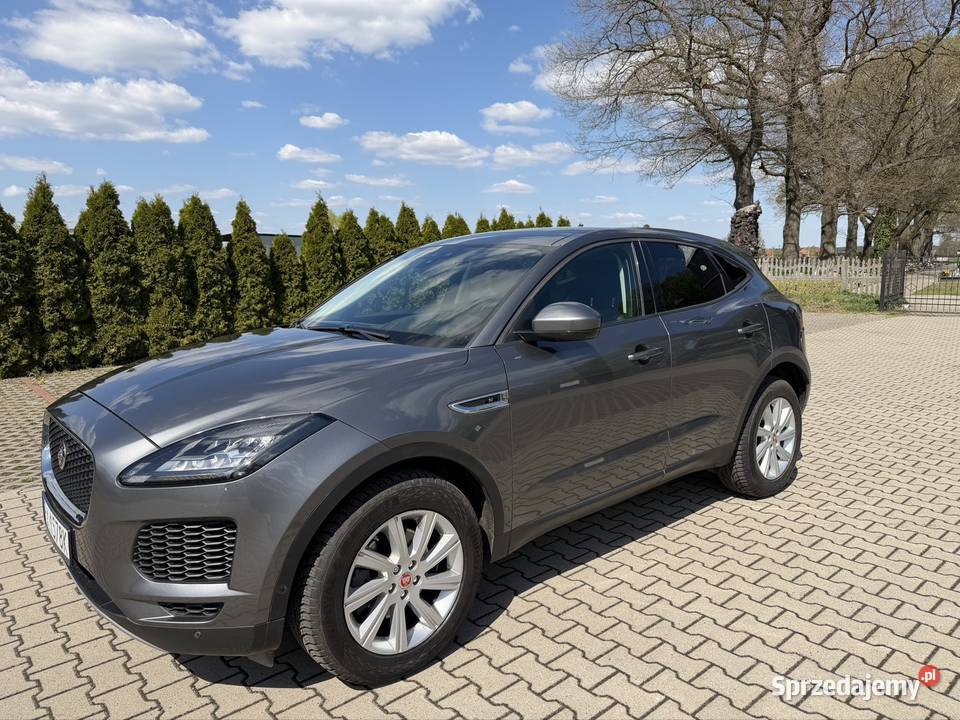 Piękny Jaguar E Pace Śrem