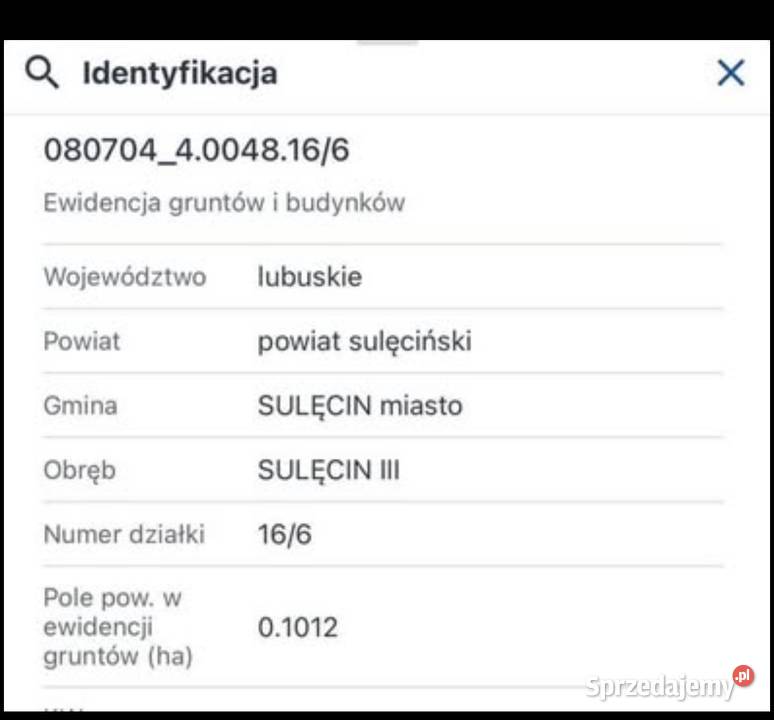 Na sprzedaż 3 działki budowlane z warunkami lubuskie Sulęcin