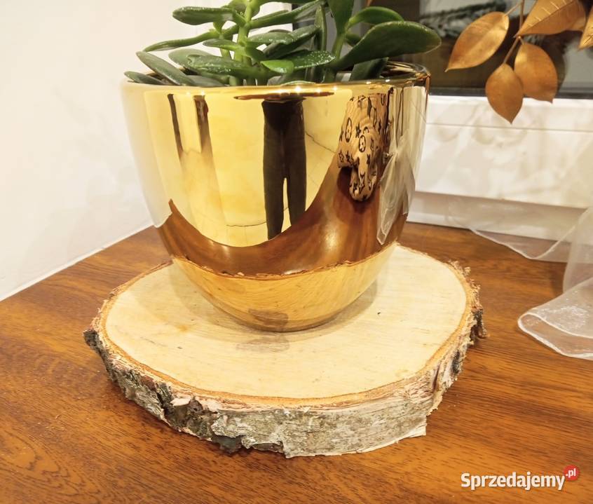 Plastry krążki Podstawki Polerowane pod doniczki Zduńska Wola sprzedam