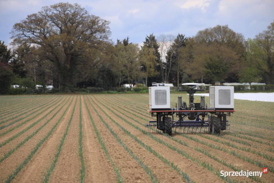 Agrointelli Robotti 150D Autonomiczny robot Grójec