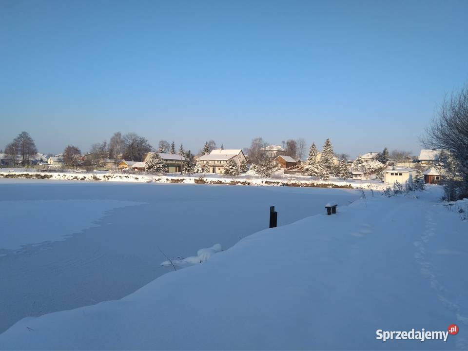 Stawy hodowlane rybne las działka 542 ha Działka Grunty i działki Krężnica Jara