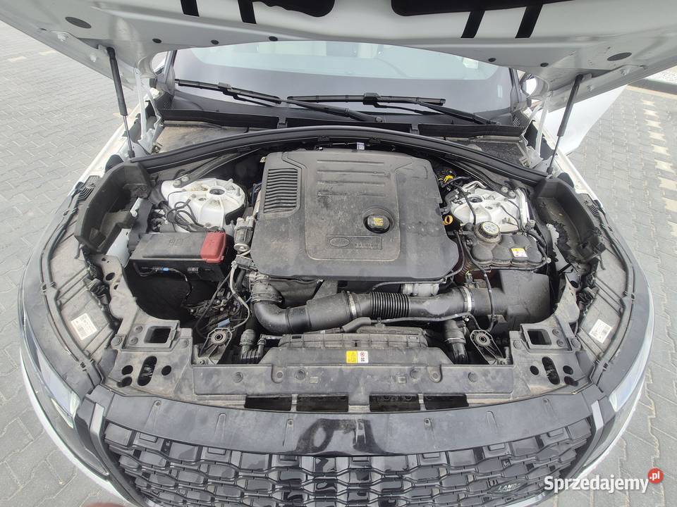 Syndyk sprzeda Range Rover Velar 20 MHEV MR20 Warszawa