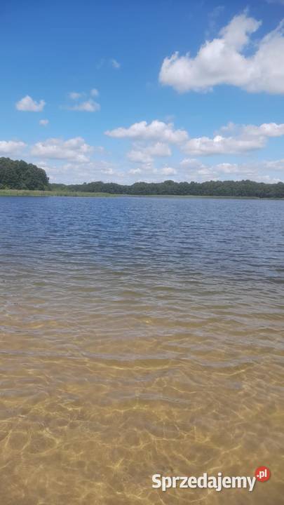 Wynajmę działkę rekreacyjną jeziorze Białym Goleń sprzedam